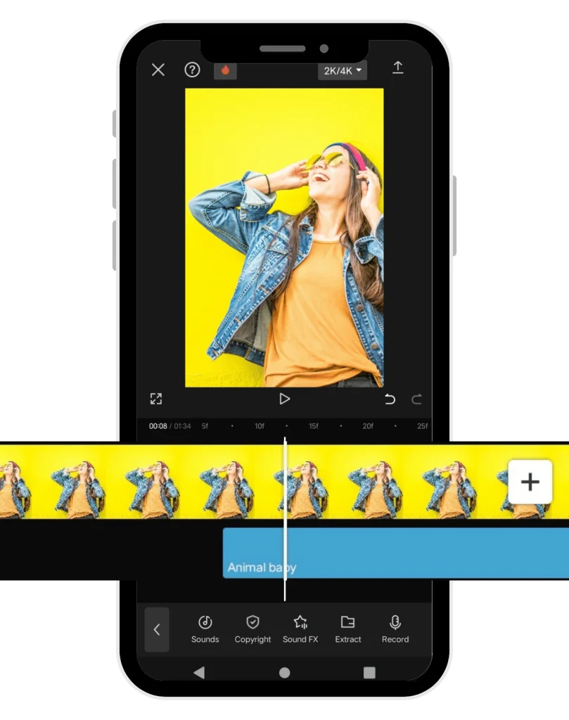 Filters and Effects of InShot pro APK